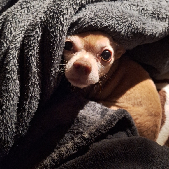 How can I help you? Ambassador ll,  30yrs.  5 star🌟  online seller. QUESTIONS? - Picture 6 of 10